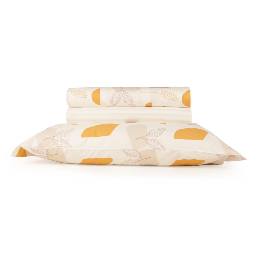 cama curcuma2