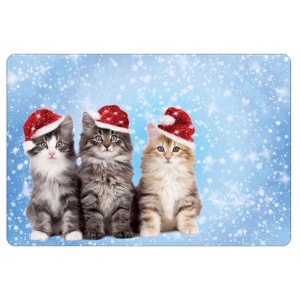 tepn009 cats natalino1