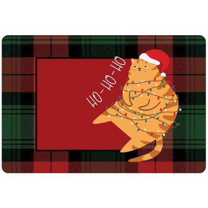 tepn0024 gato natalino